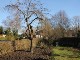 Garten 2013