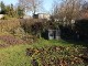 Garten 2013