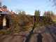 Garten 2013