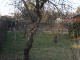 Garten 2014