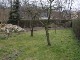 Garten 2014