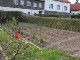 Garten 2014