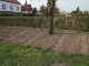 Garten 2014