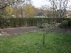 Garten 2014