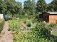 Garten 2014
