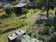 Garten 2014