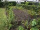Garten 2014