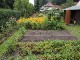 Garten 2014