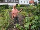 Garten 2014