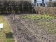 Garten 2015