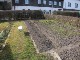 Garten 2015