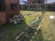 Garten 2015