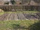 Garten 2015