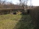 Garten 2015