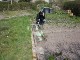 Garten 2015
