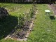 Garten 2015