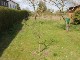 Garten 2015