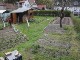 Garten 2015