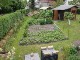 Garten 2015