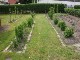 Garten 2015