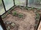 Garten 2015