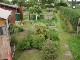 Garten 2015