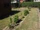 Garten 2015