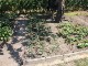 Garten 2015