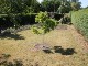 Garten 2015