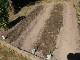 Garten 2015