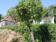 Garten 2015