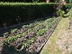 Garten 2015