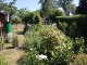 Garten 2015