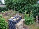 Garten 2015