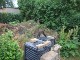 Garten 2015