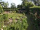 Garten 2015