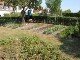 Garten 2015