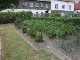 Garten 2015