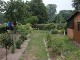 Garten 2015