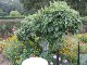 Garten 2015