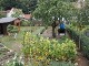 Garten 2015