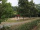 Garten 2015