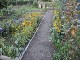 Garten 2015