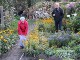 Garten 2015