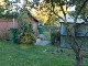 Garten 2015