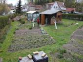 Garten 2015