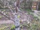 Garten 2016