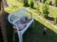 Garten 2016