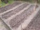 Garten 2016