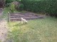 Garten 2016